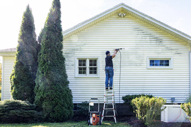 Spring Cleaning in Howard Lake, MN