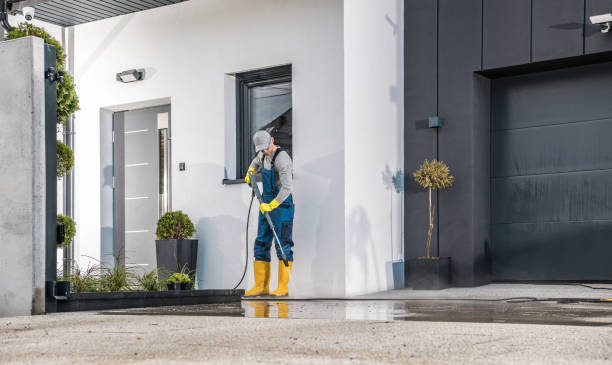 Best Soft Washing  in Howard Lake, MN